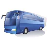 Листовки в автобусах Лесной